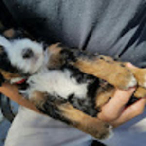 Meet your Posher, Ty